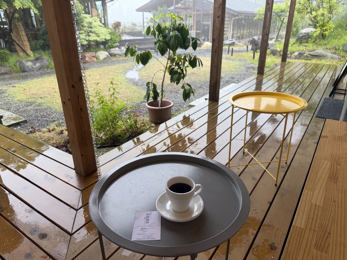 コーヒーの木オーナーになった経緯