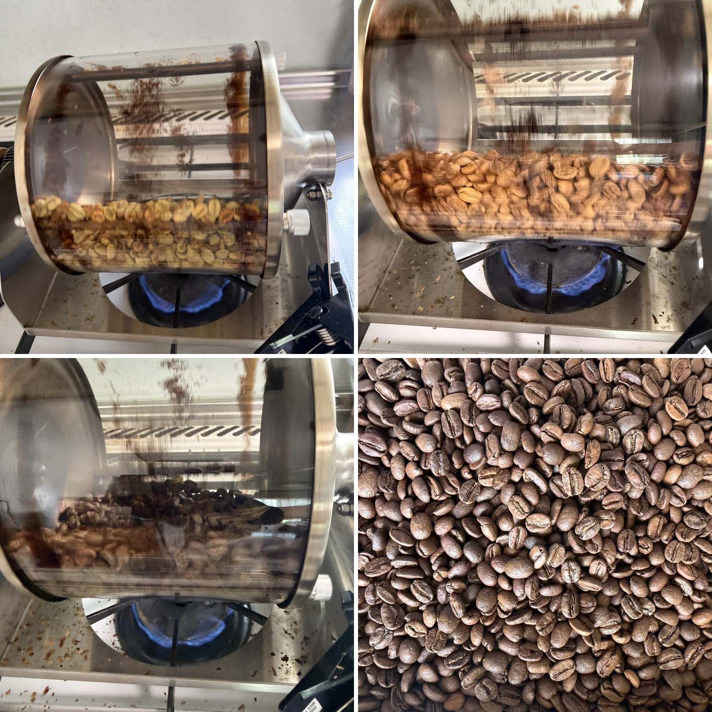 KAKACOOでのコロンビア・ストロベリーの焙煎中の色変化(黄色→茶色っぽく→茶色→焙煎後)