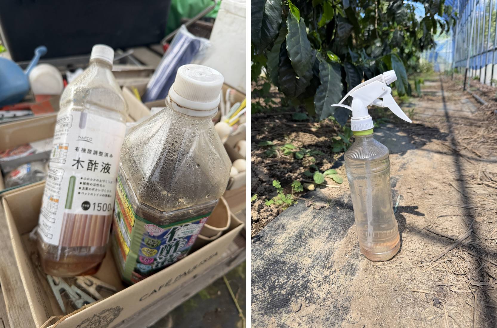 木酢液の原液（左）と、散布に使ったスプレーボトル（右）