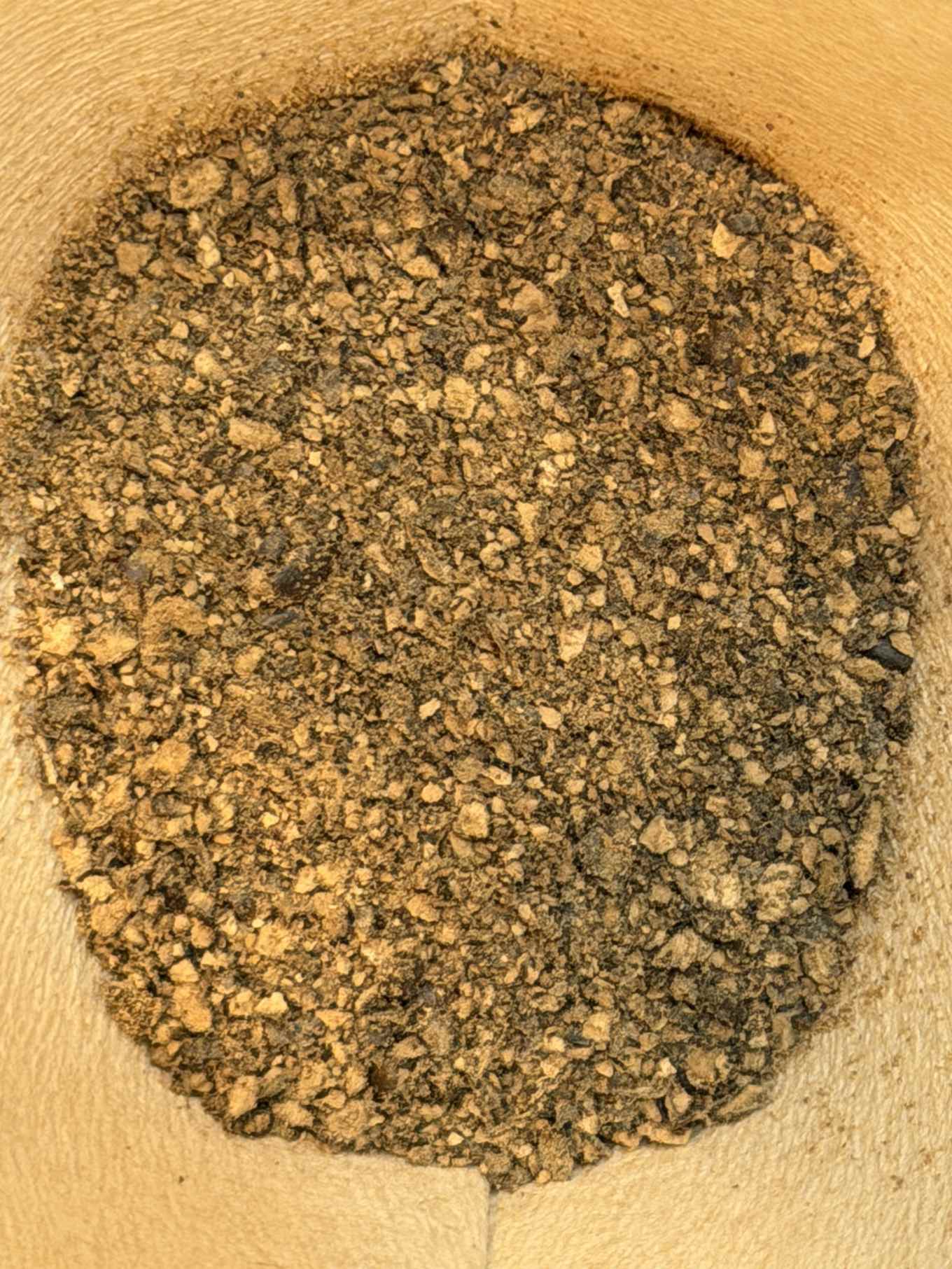 ミルで挽いた後の小麦コーヒー